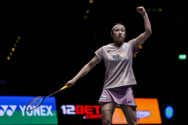 買專業羽毛球拍要花多少錢?2024年價格趨勢分析