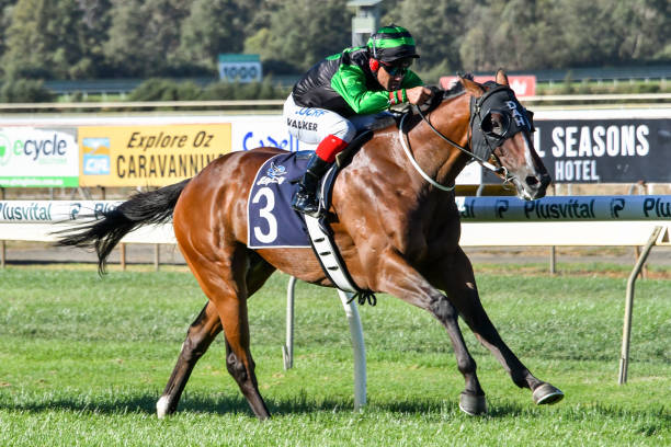 倫納德封神之戰:回顧猛龍隊首個總冠軍賽季