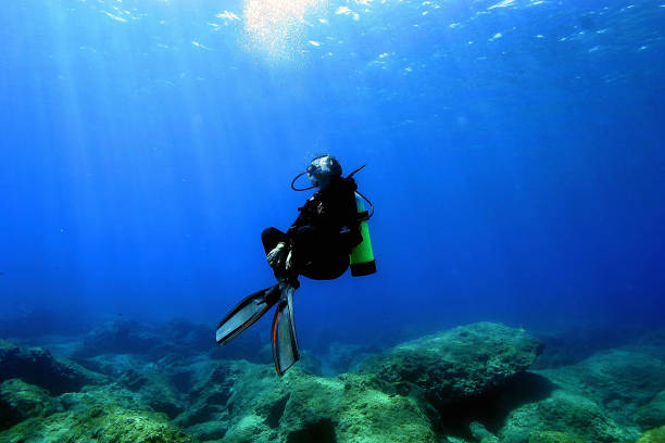 劉德華分享對郭晶晶的敬佩:體育精神與人生智慧
