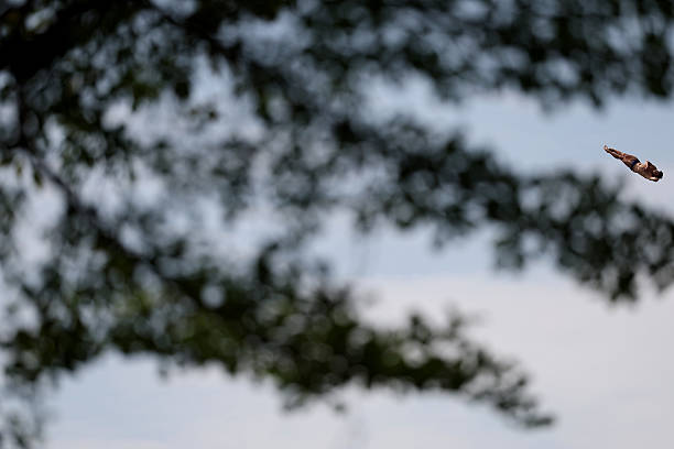 吳敏霞老公分享美食日常,三斤小龍蝦輕鬆搞定!