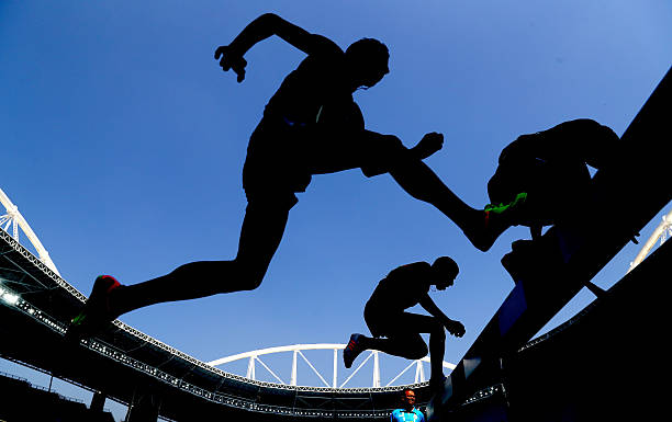 從湛江到國家隊:全紅嬋的跳水生涯關鍵轉折點