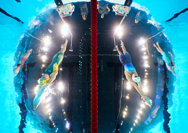 遊泳教練證查詢:權威網站及操作流程