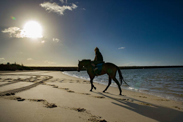 遊泳的適宜人群與禁忌症：誰適合遊泳？誰需謹慎？