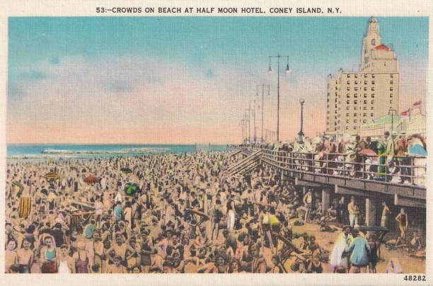 從泳池到熒幕：陳小紜的跨界人生