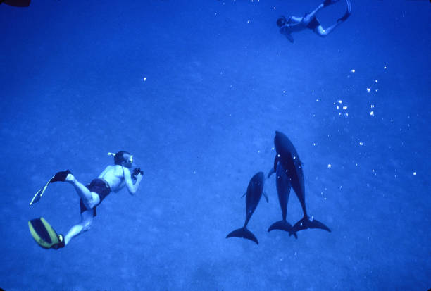 如何預防遊泳池中的細菌感染？婦科醫生給出建議