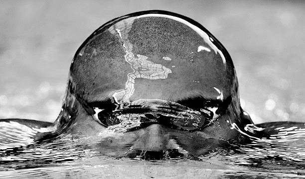 一年遊泳，糖尿病患者的驚人蛻變：血糖穩定了，體重下降了！