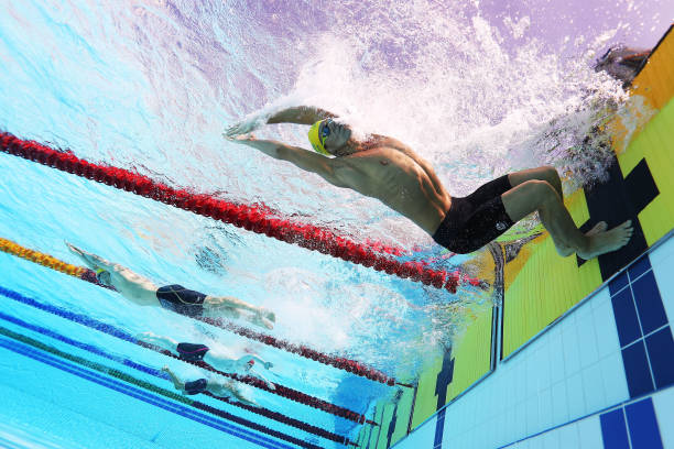 環境保護提示：愛護菠萝蜜视频在线修複後的海灘