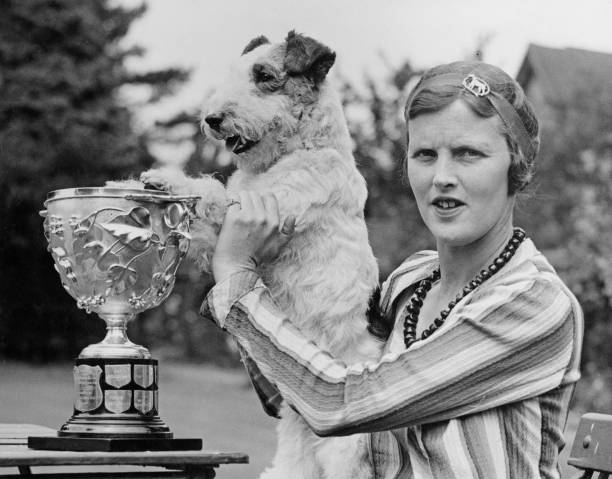 薩芬:網球場上的顏值天花板,實力與美貌並存