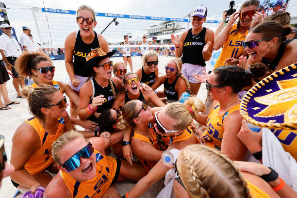 排球直播平台大比拚：哪個更適合你？