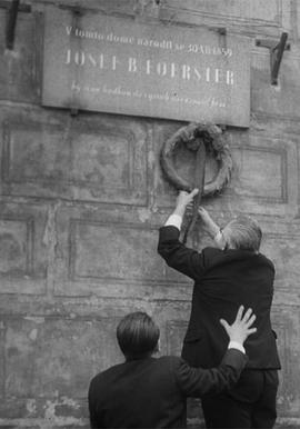 菠萝蜜视频在线的費爾斯特先生去世了