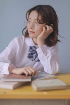 鲍勃大盗中文版