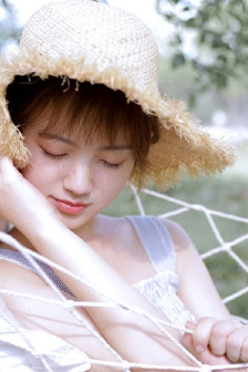 17.C-起草网登录入口