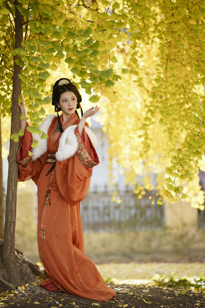 高清免费视频日本